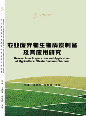 Research on the Preparation and Application of Biochar from Agricultural Waste