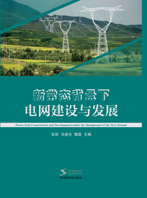 Power Grid Construction And Development Under The Background Of The New Normal
