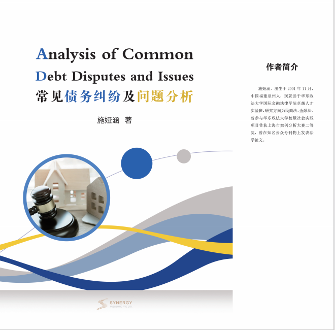 Analysis Of Common Debt Disputes And Problems